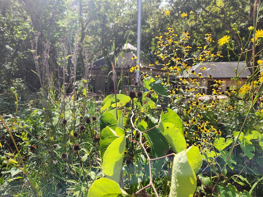 Climax Springs Fire Tower