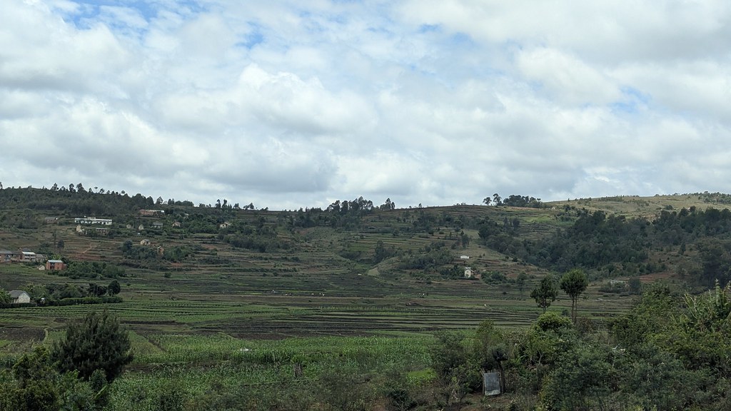 Mahasingana