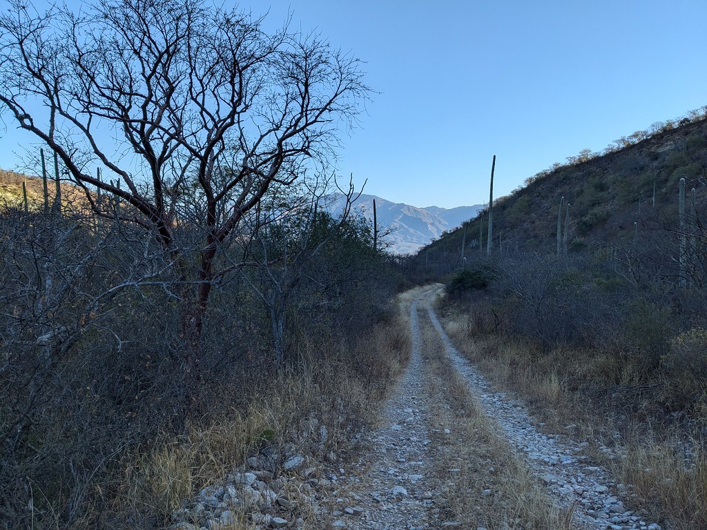 Cascada Apoala