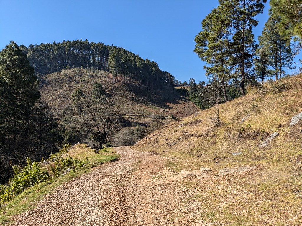 Cueva El Venado