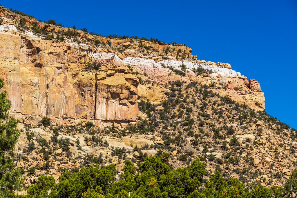 Cebollita Mesa