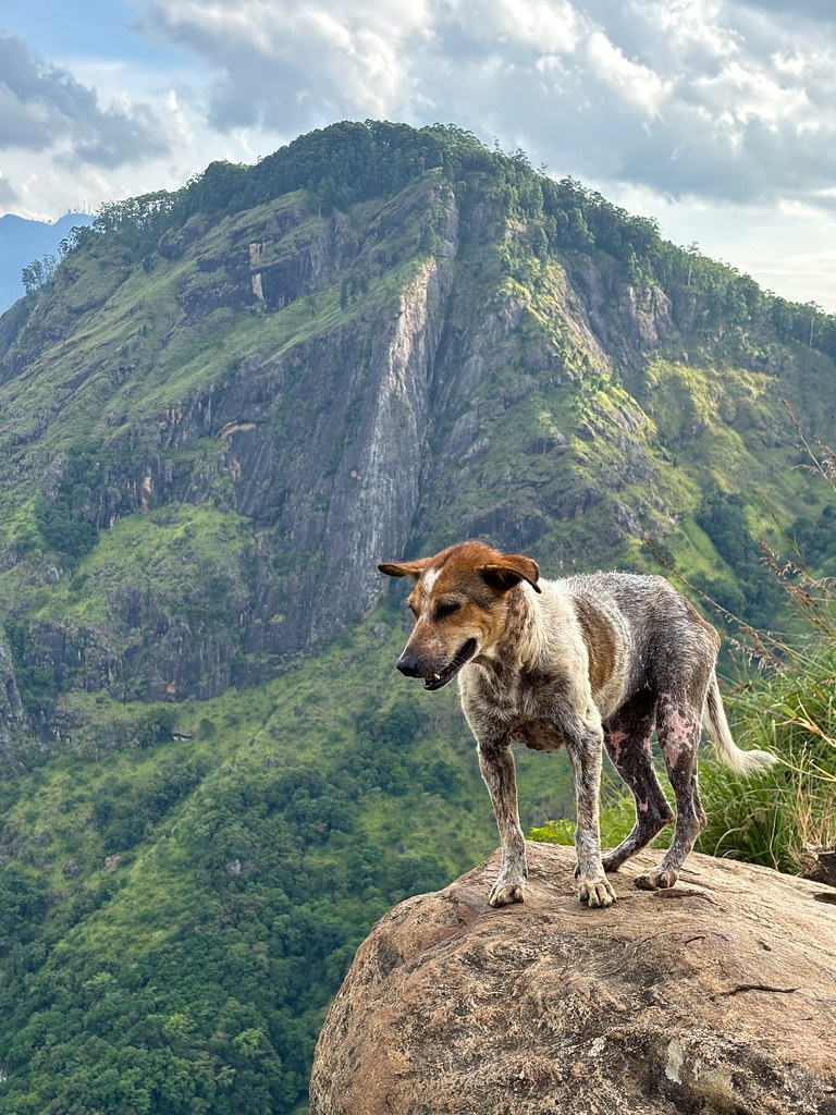 Bambarakotagala