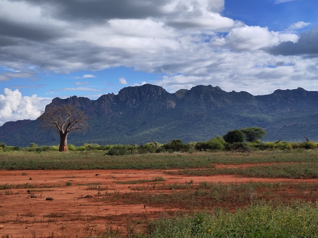 Kifaru