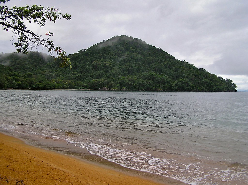 Andohadranofito