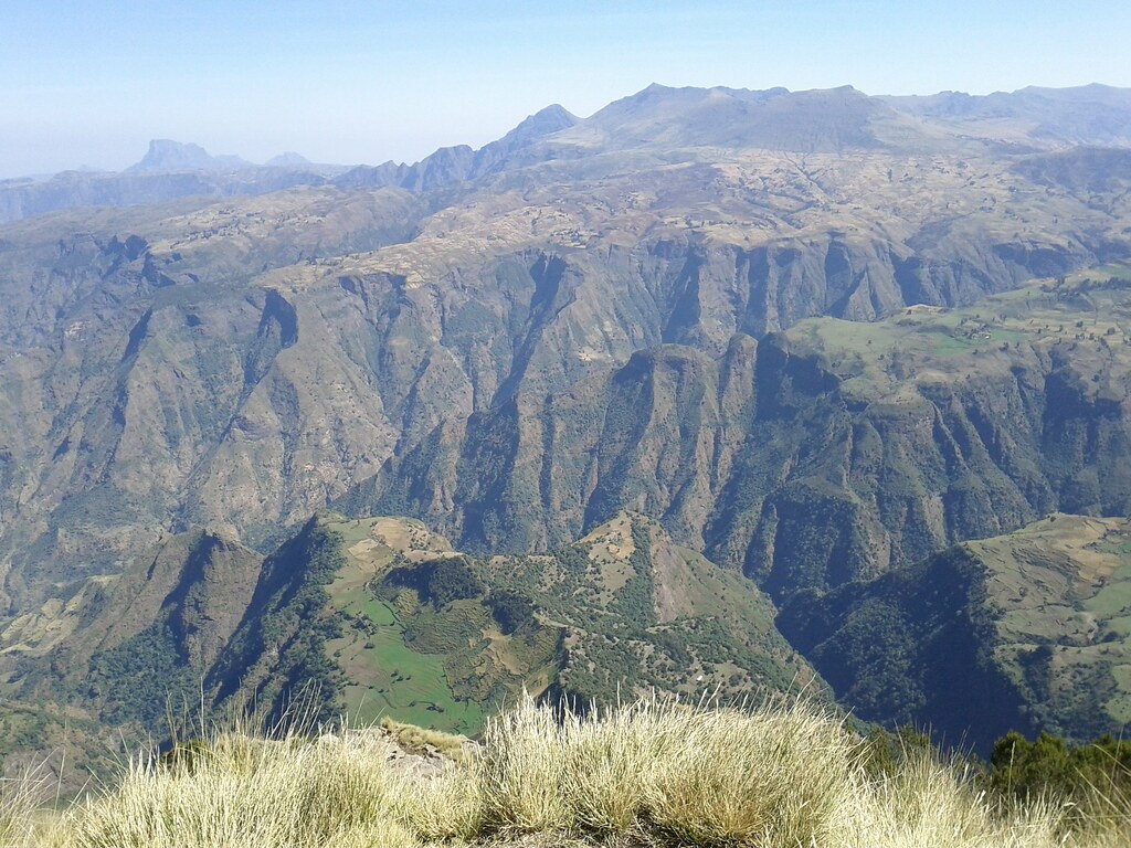 Ancua