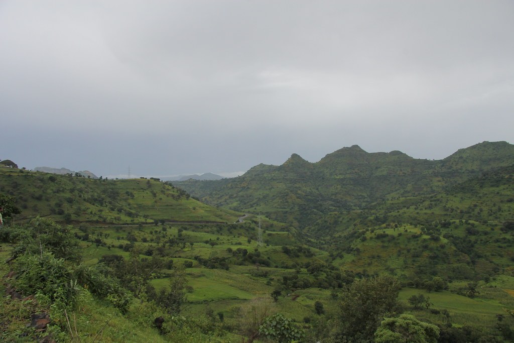 Amfelau