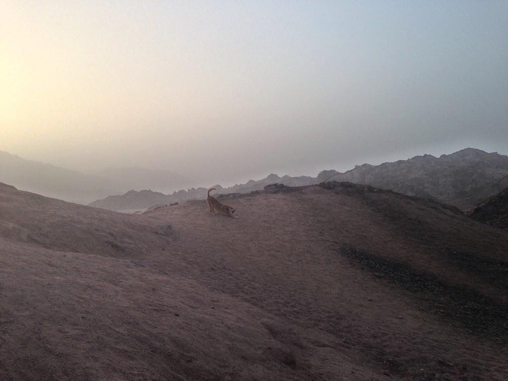 Gebel Yithmid el- Qibli
