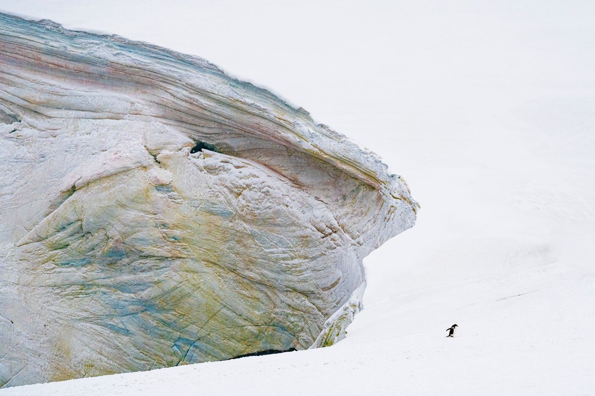 Adare Glacier