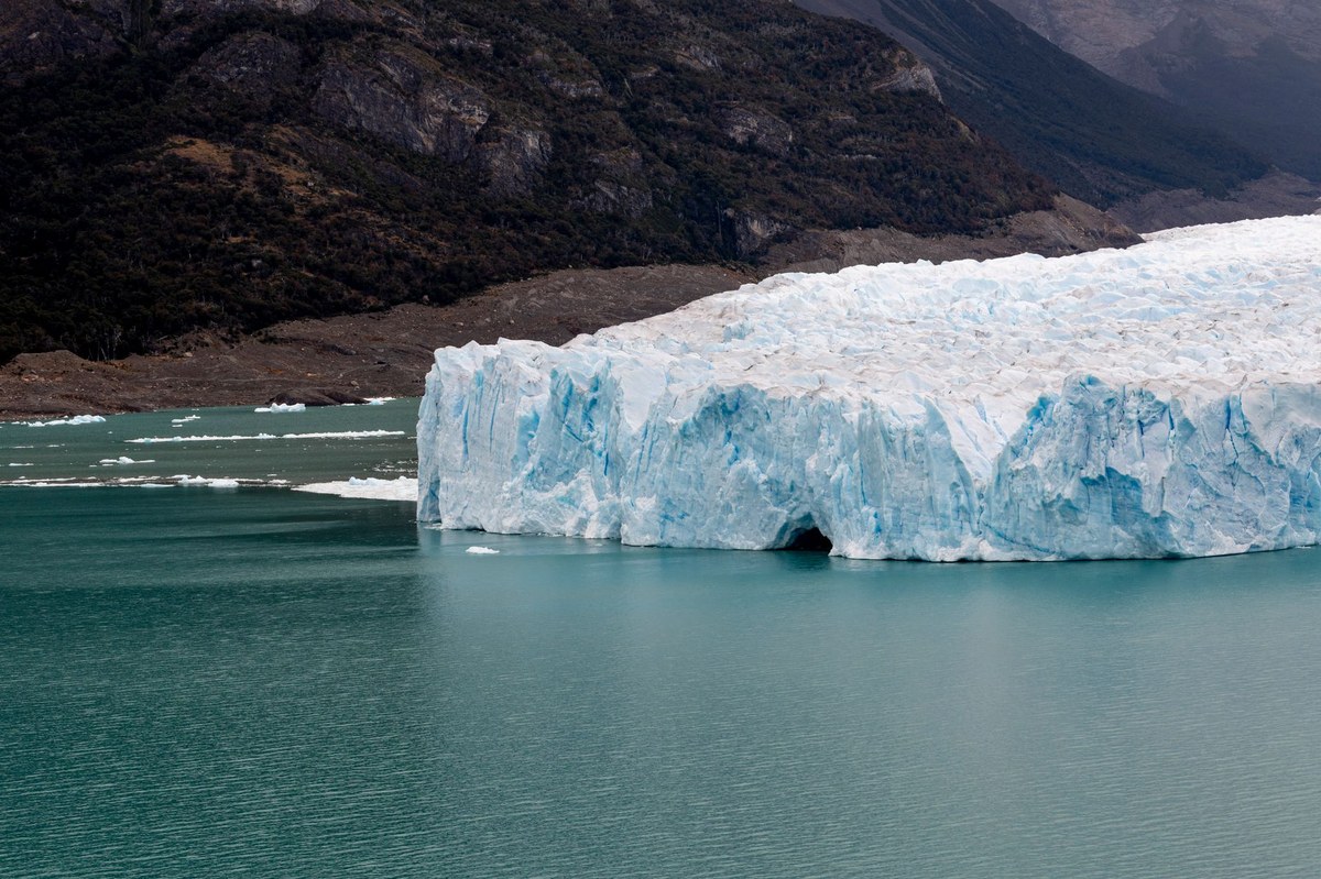 Argentino