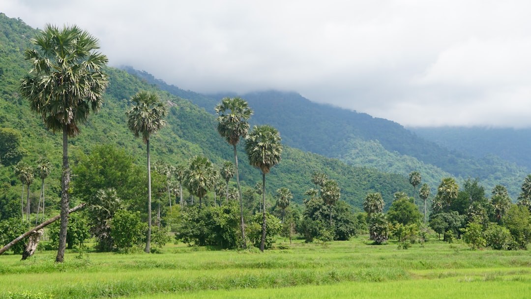 Phnom Samkos