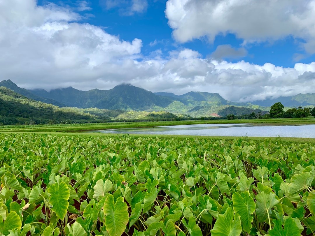Nonopapa Lake