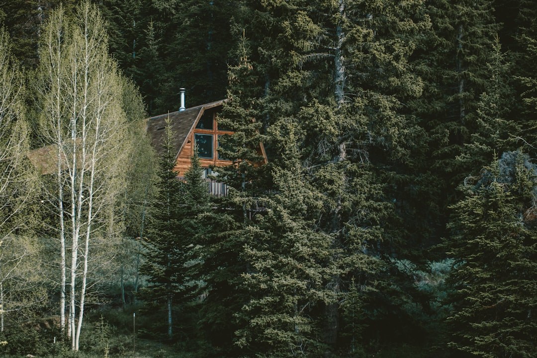 Aspen Mountain