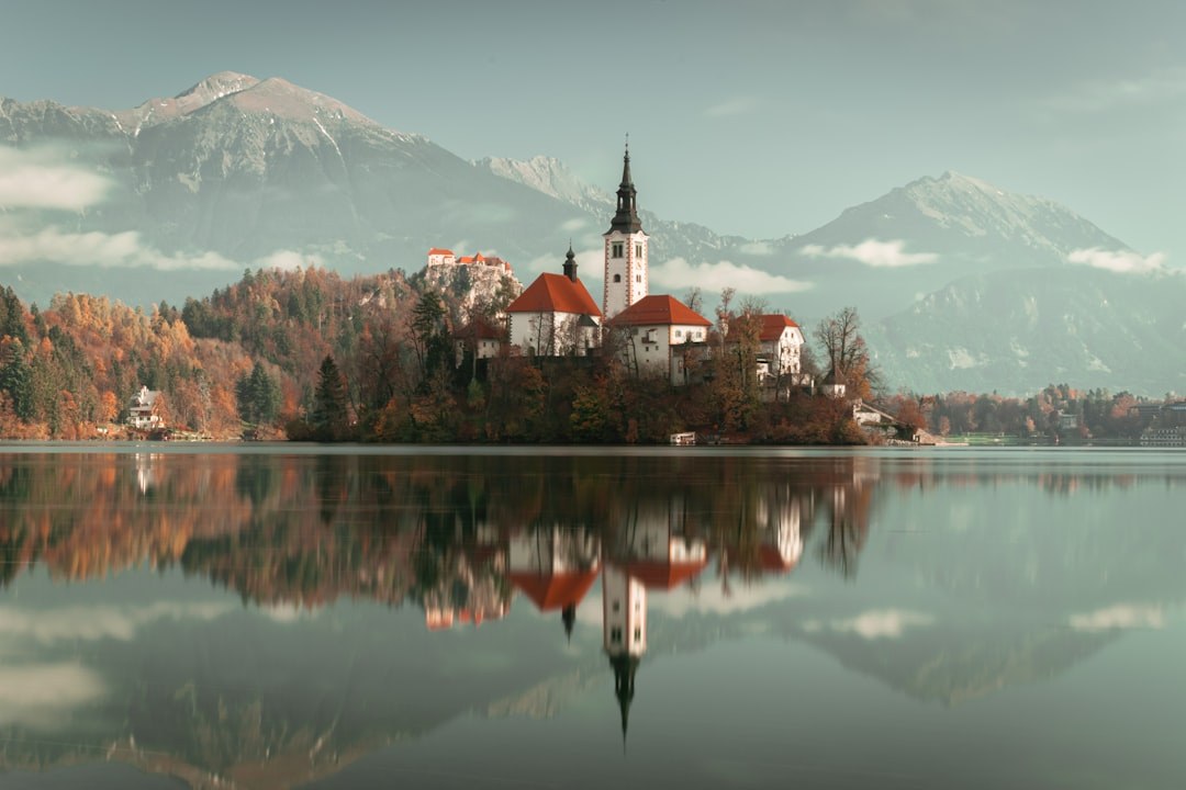Kojca