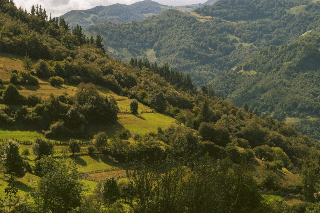 Pico das Brenhas (Calheta)