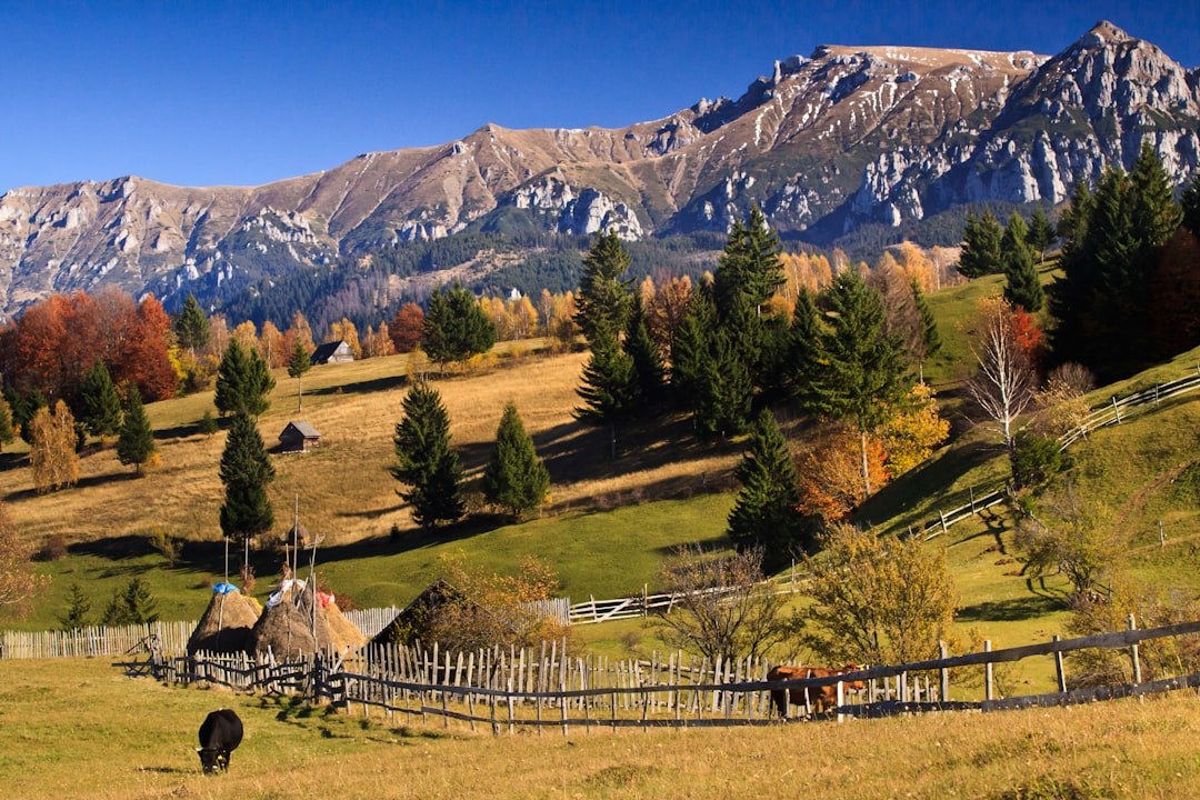 Cracu Botușului