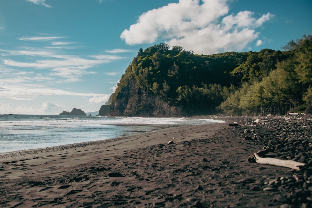 49 Black Sand Beach