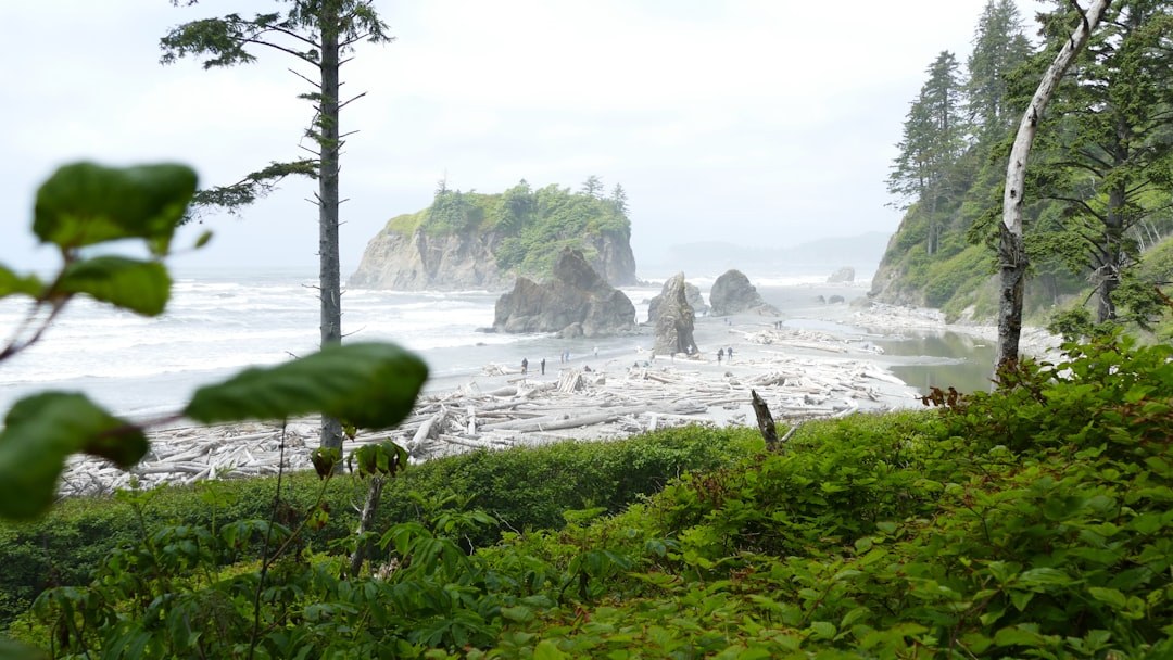 Olympic National Park