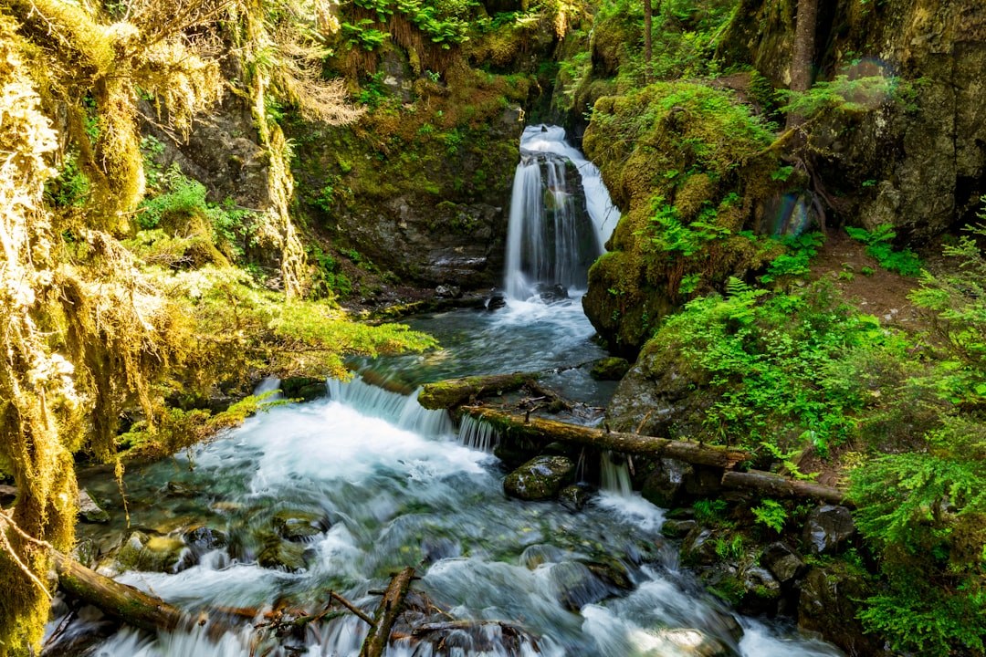 Bunnell Cascade