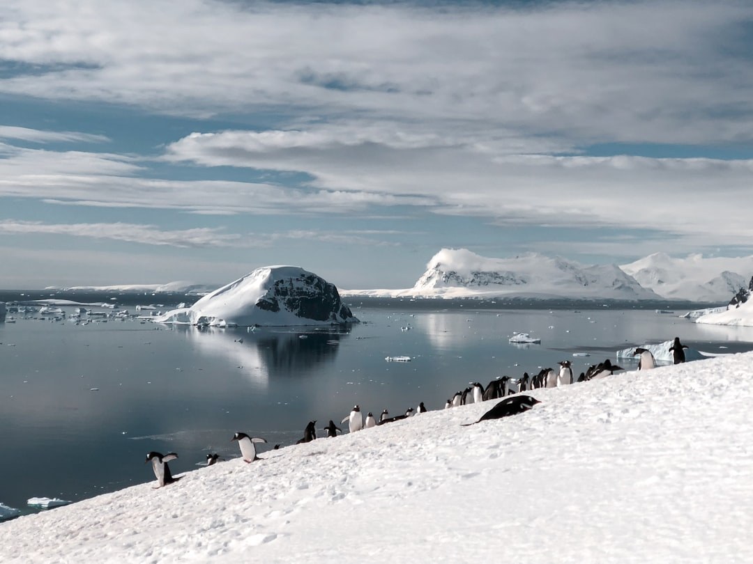 Albrecht Penck Glacier