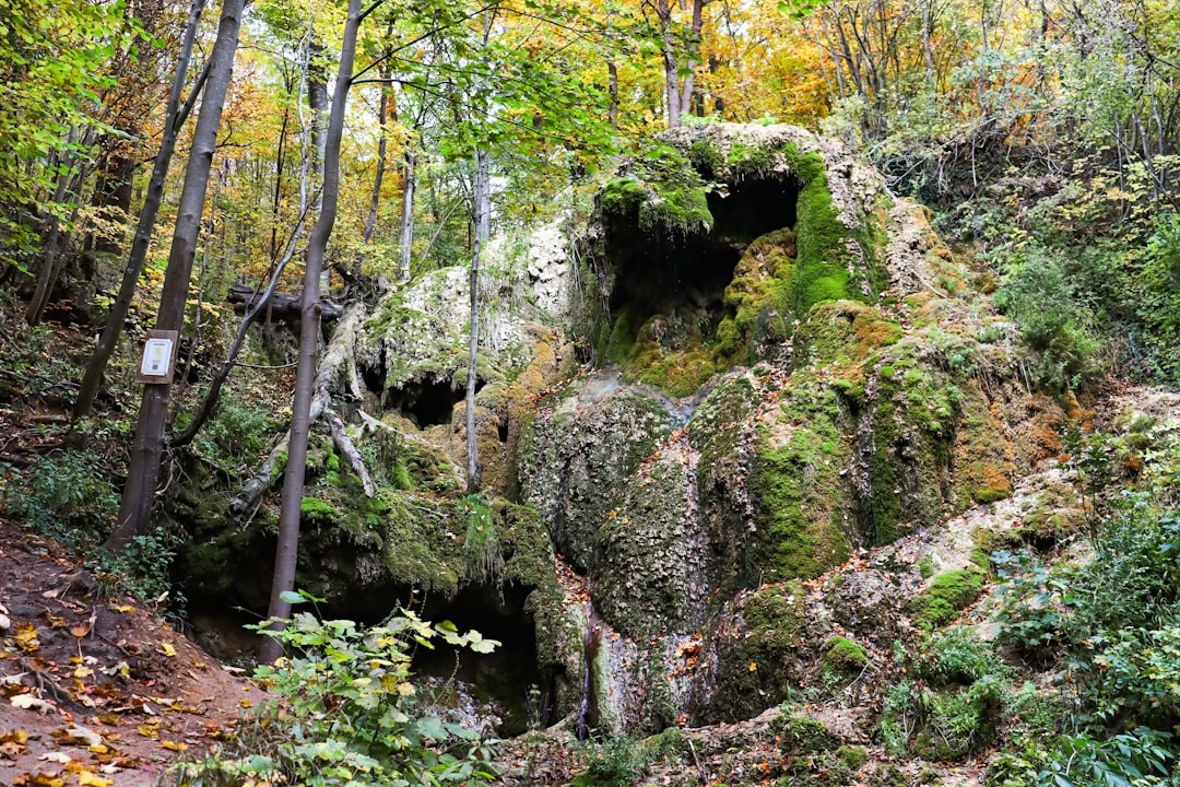 Bear's Cave
