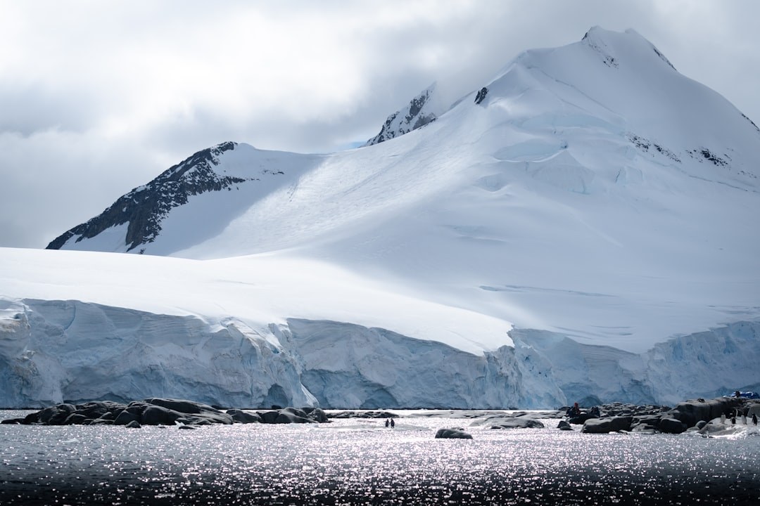 Albatross Glacier