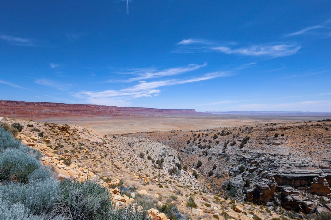 Dewey Point