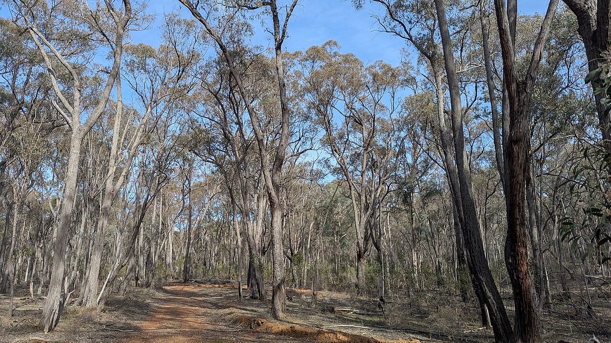 Benambra National Park