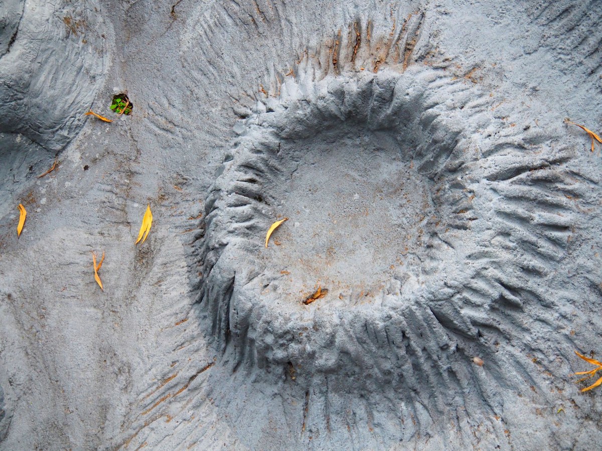 Brandau Crater