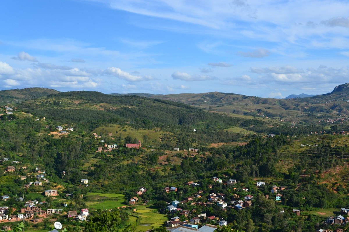 Ambalavia