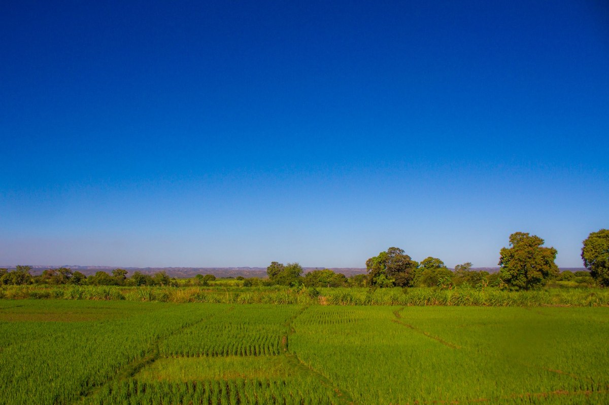 Ankaizina Field