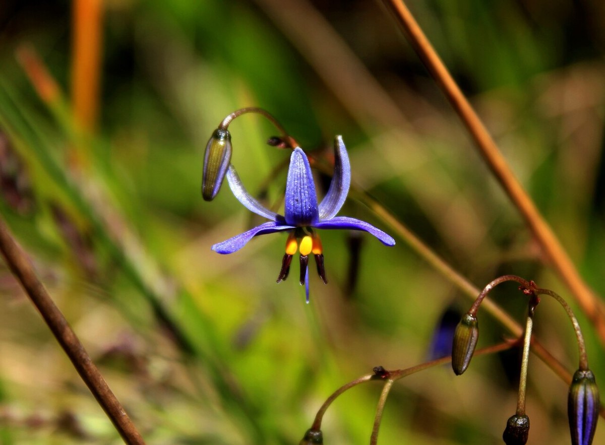 Beninbi National Park