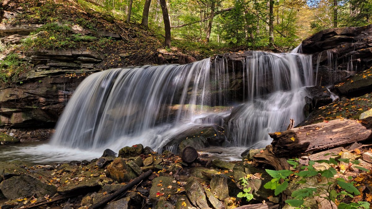 Cat Falls