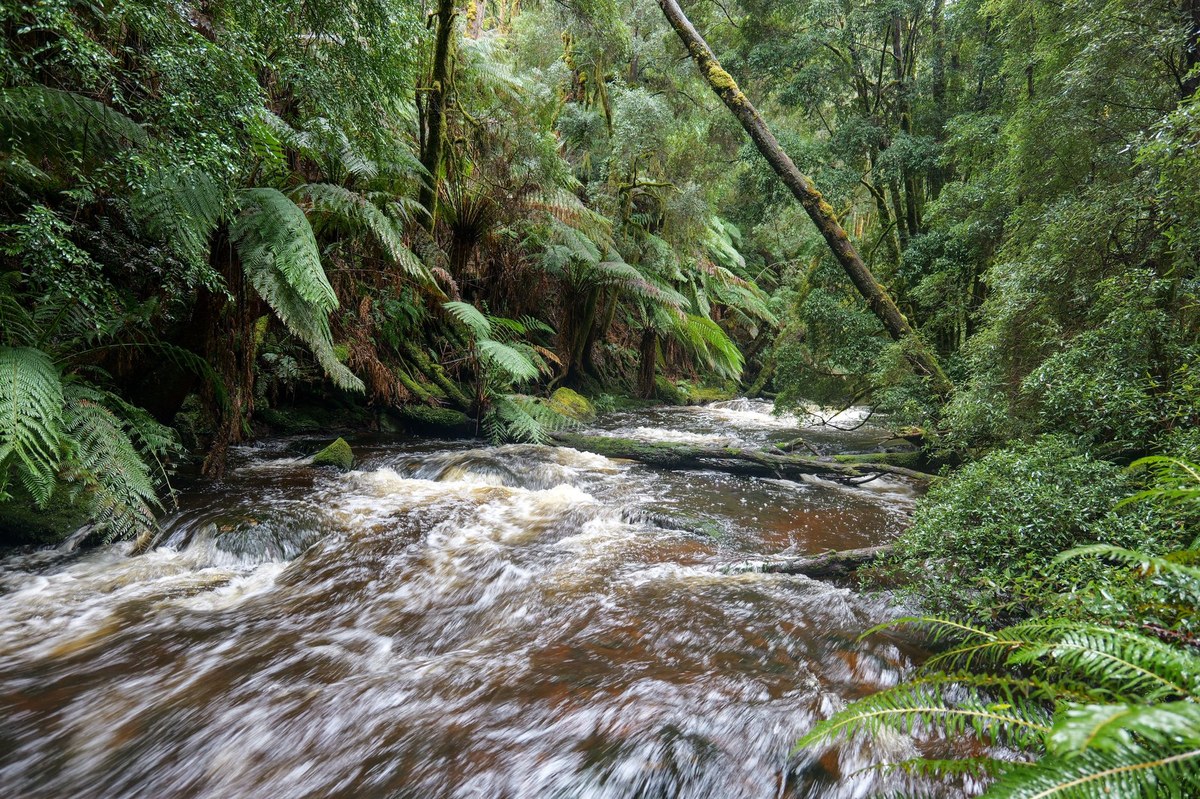 Hindley Falls