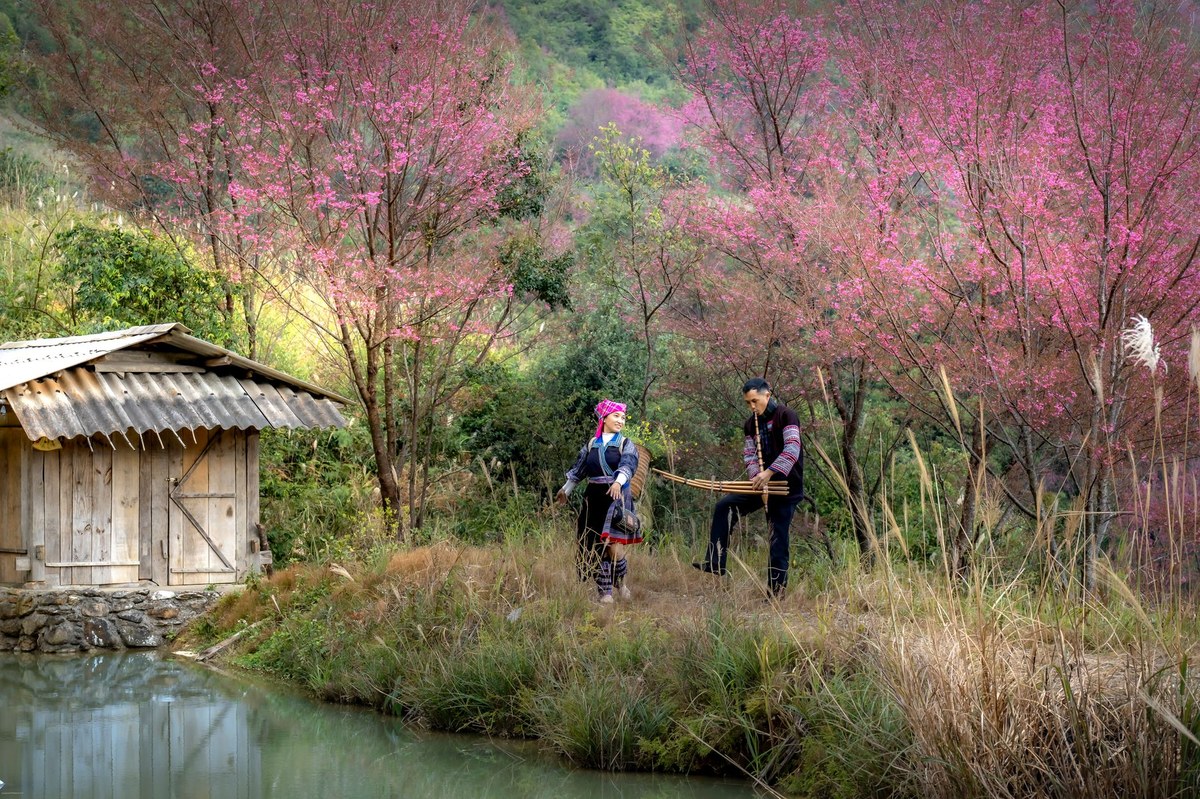 Doi Cham Mu