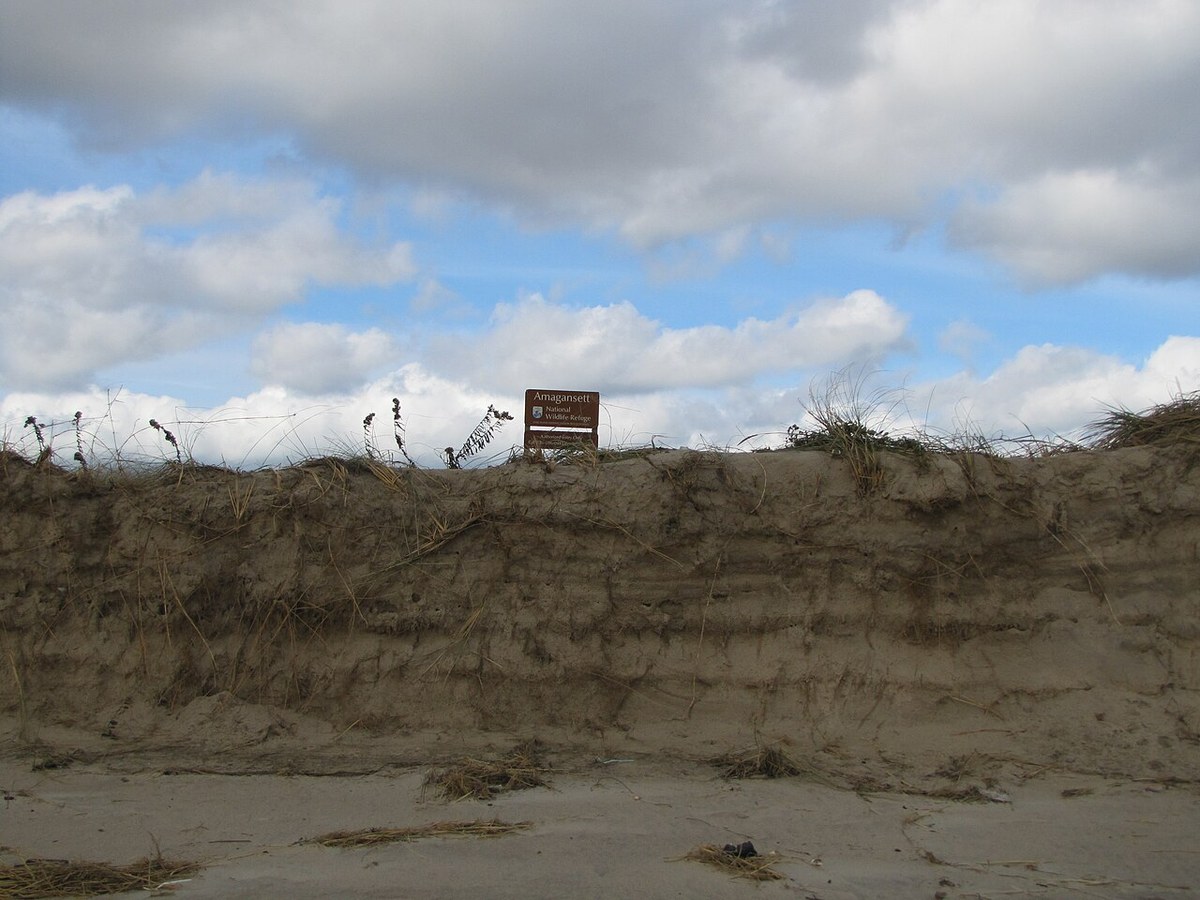 Amagansett Beach
