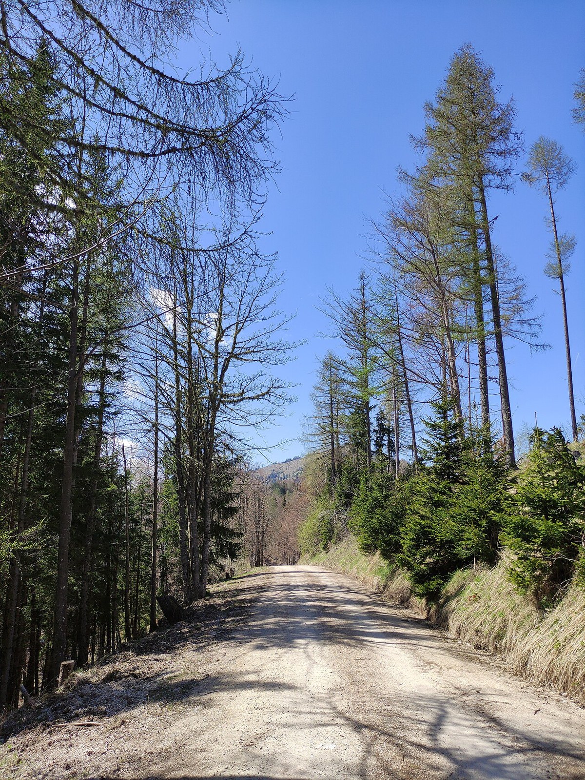 Kukeschhöhe
