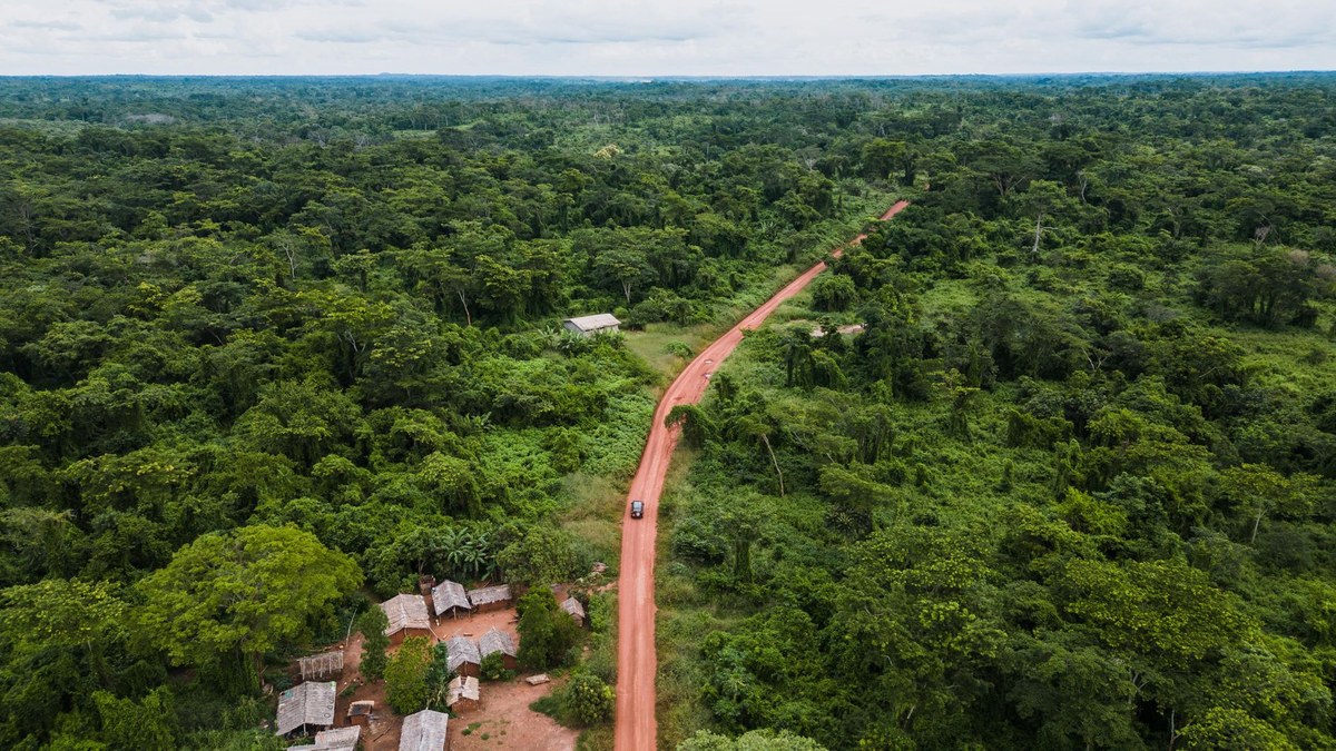 Dzanga