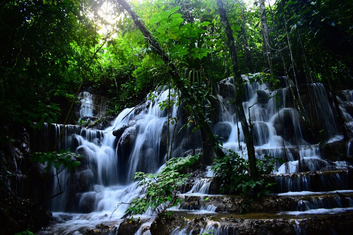 Lata Ulu Kusial