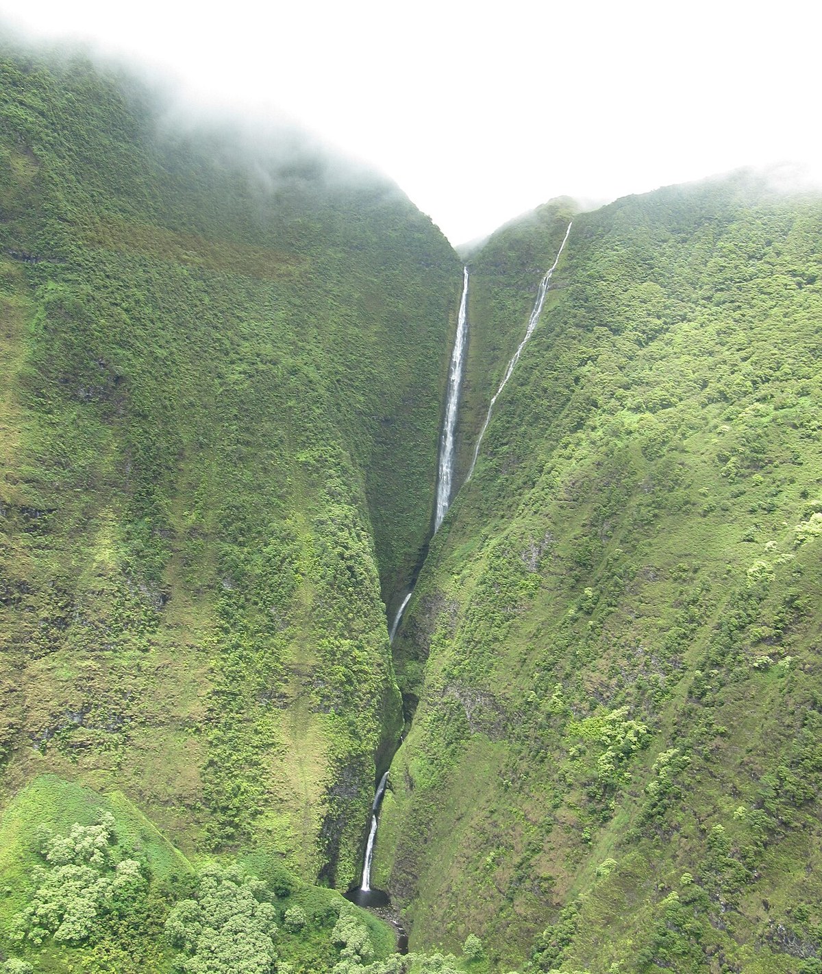 Nāʻehu