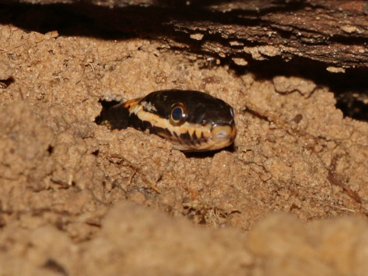 Na Kha cave