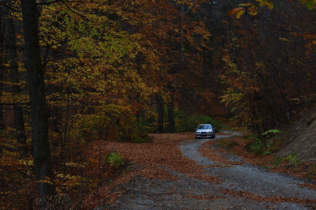 Dealul Mosnicului