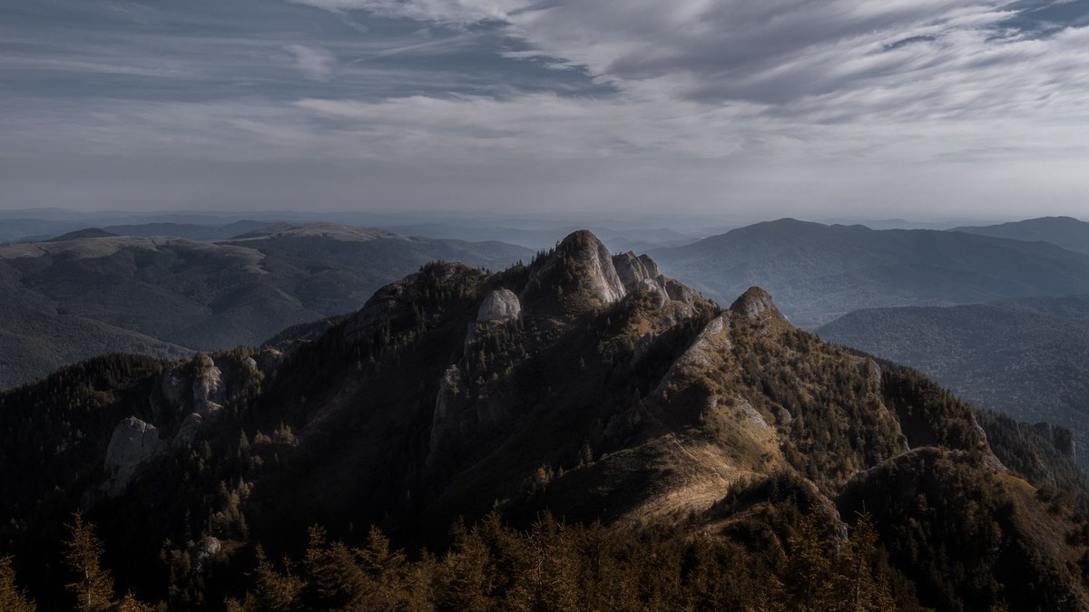 Muntele Țarcul