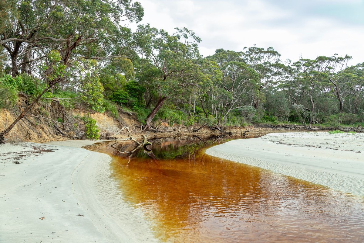 Back Creek Lagoon