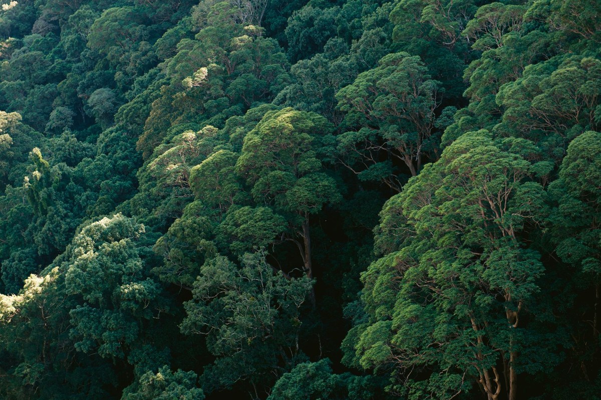 Binya National Park