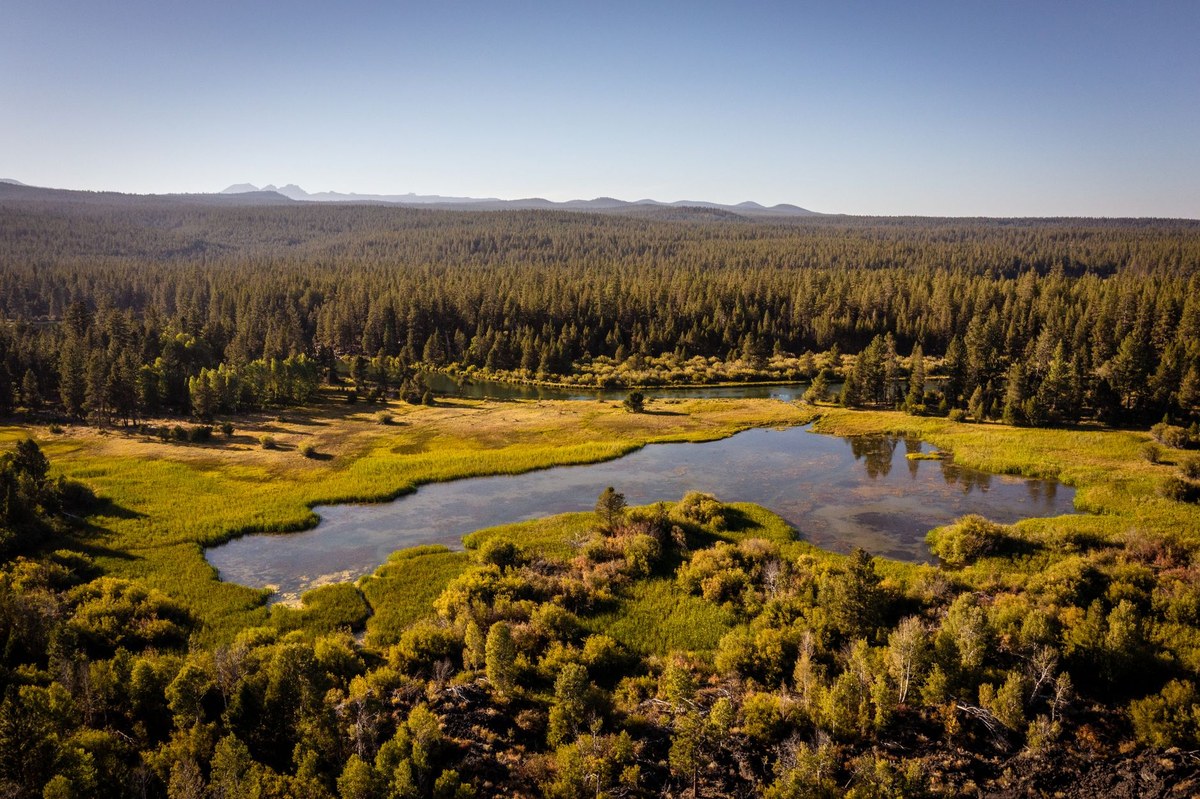 Abraham Flat