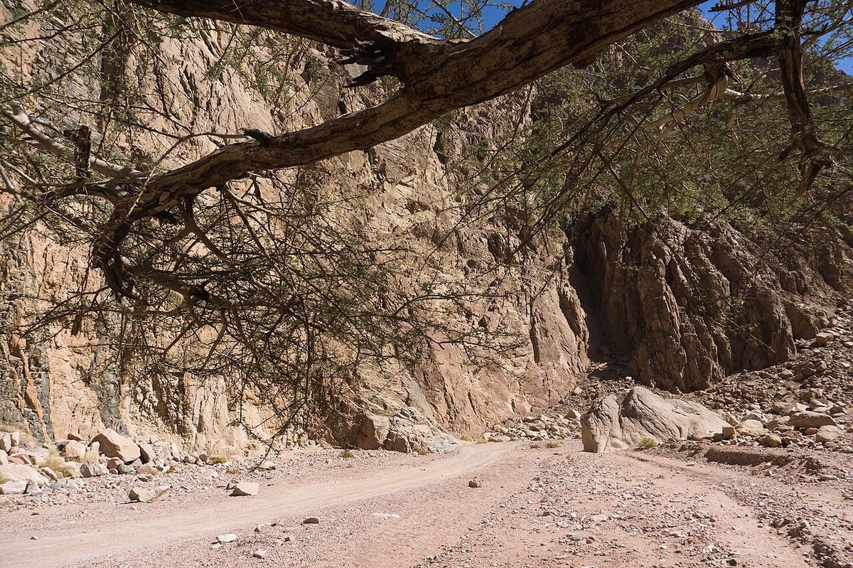Jabal Qunay