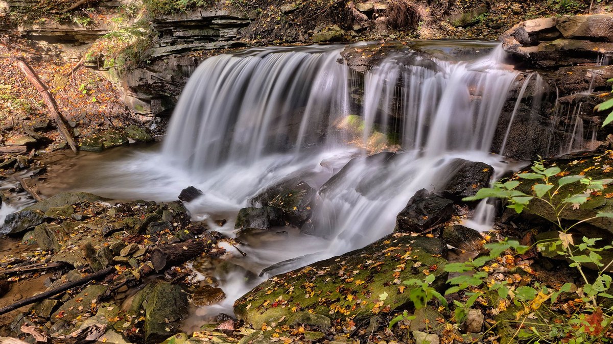 Betty Falls