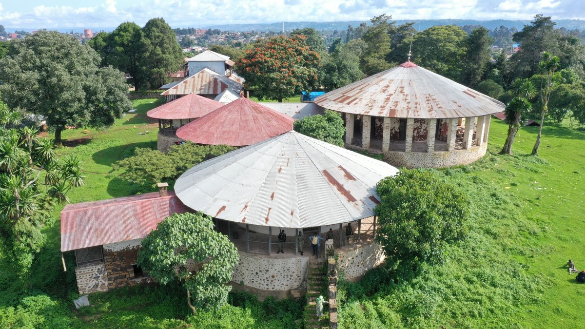 Arauoma
