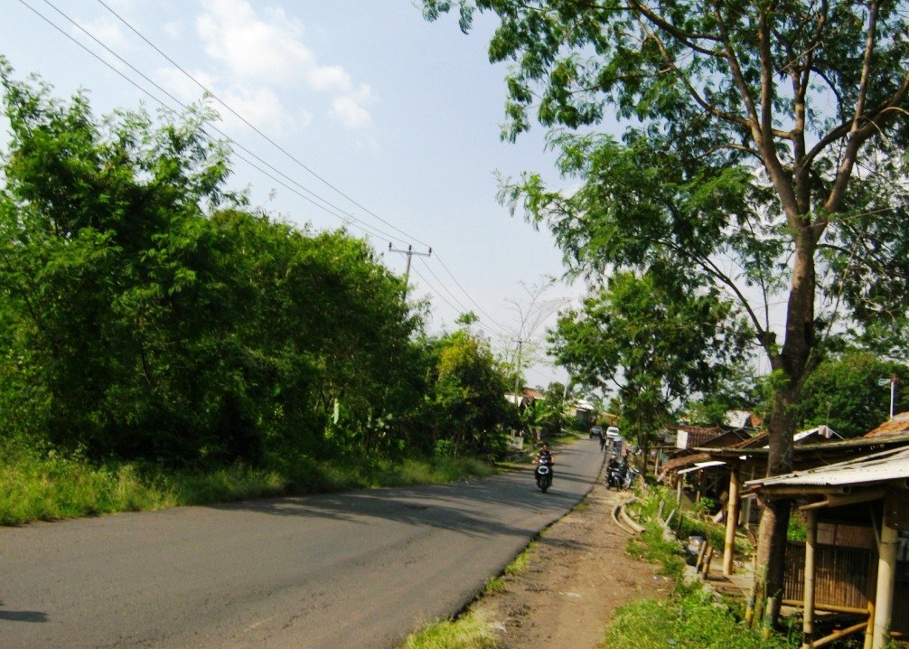 Air Terjun Kujang