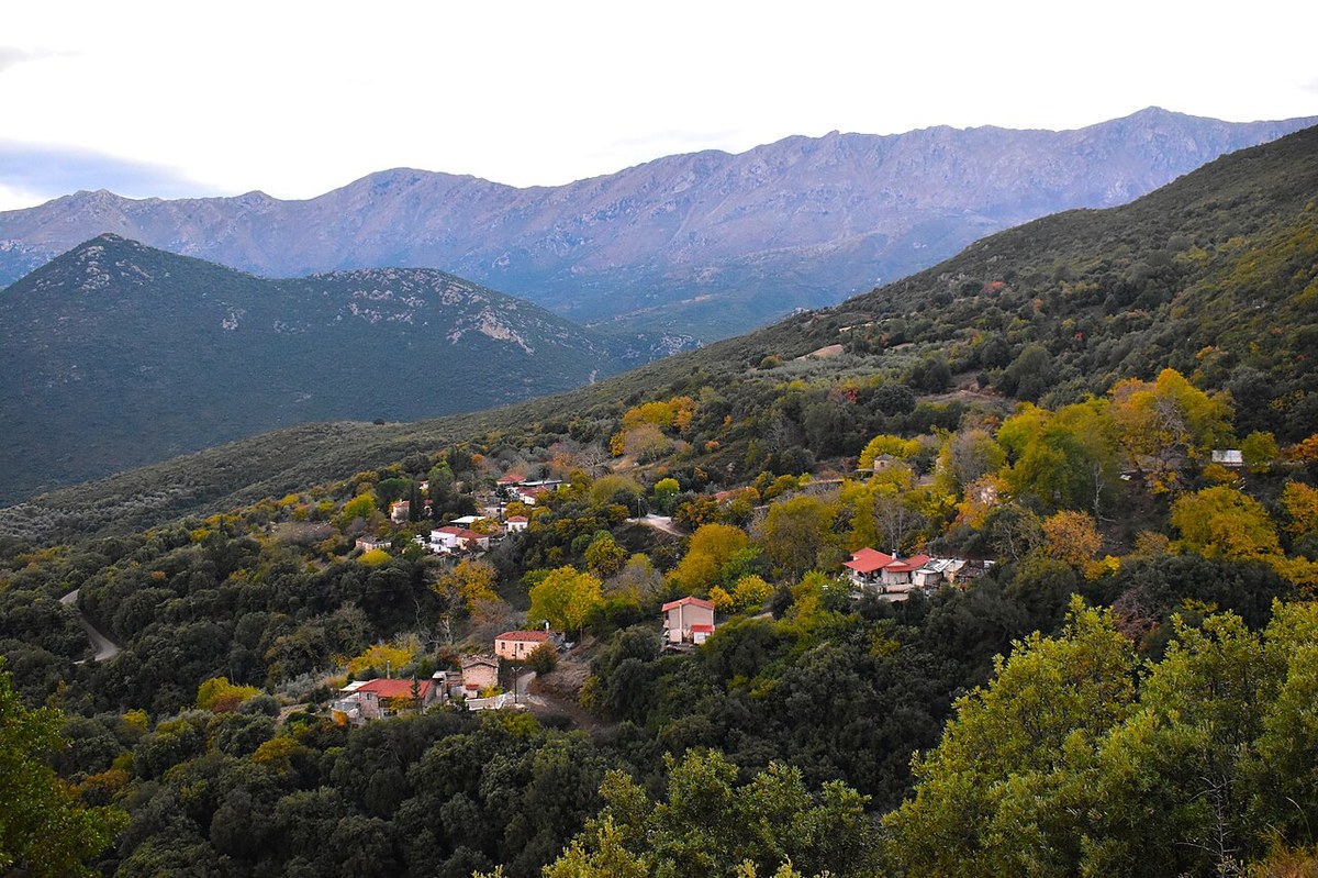 Artemisio
